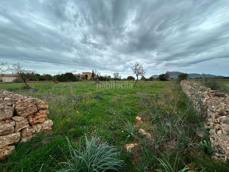 Foto 5a7c4a14-af63-409f-93aa-0d2a4679431c. Bauernhof mit parking in Artà poble Artà