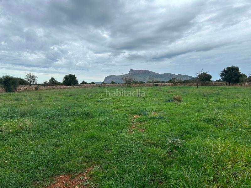 Foto 66034131-e7b2-4673-9231-85887049ff53. Bauernhof mit parking in Artà poble Artà