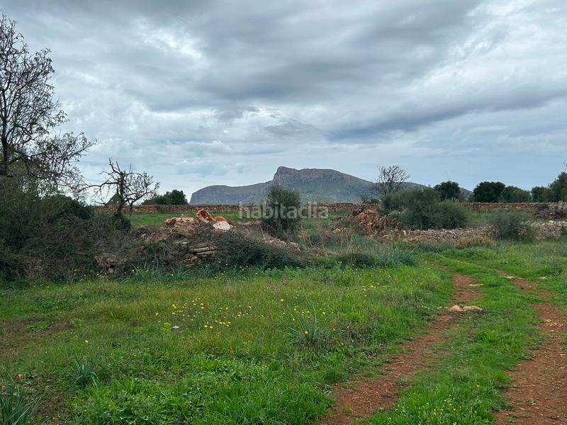 Foto 7d77cc2d-90f7-4d89-bb7a-e1683bbbd15f. Bauernhof mit parking in Artà poble Artà