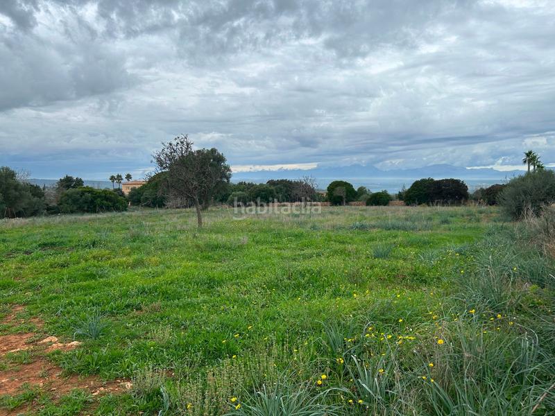 Foto 8f7c4ef9-f6e1-4bd1-9c41-c0e830fe6ddc. Bauernhof mit parking in Artà poble Artà