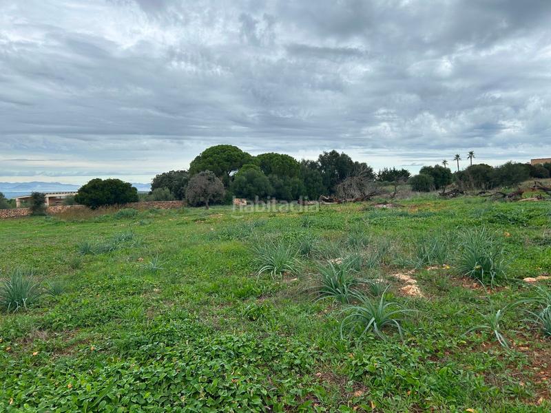 Foto 9652d466-10a8-435e-b2d8-5c36c839515e. Bauernhof mit parking in Artà poble Artà