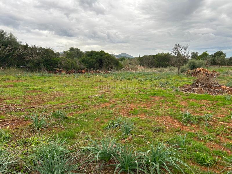Foto 9b53b43f-6746-4e66-8b7a-56cb5179e568. Bauernhof mit parking in Artà poble Artà