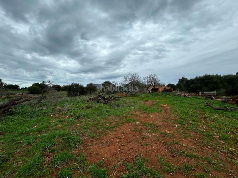 Foto a9a974d4-53fa-42b1-ac91-05a8c9a88930. Bauernhof mit parking in Artà poble Artà