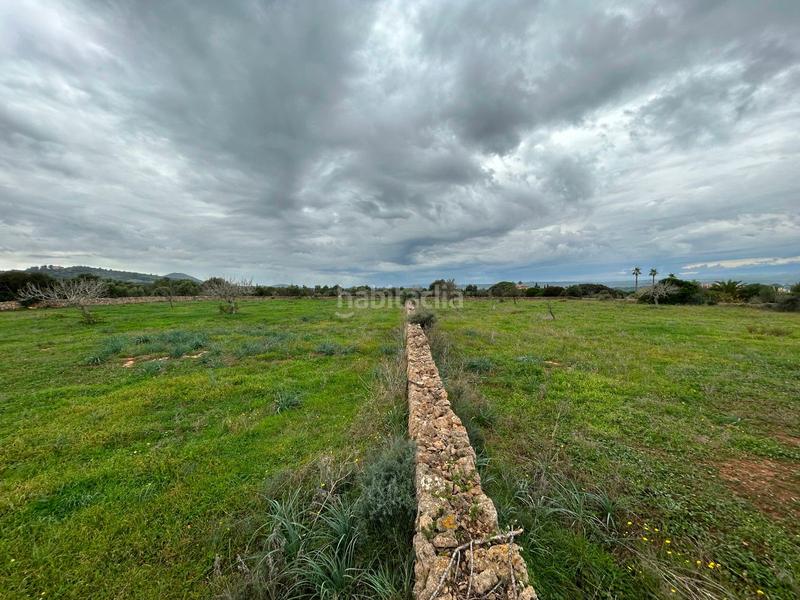 Foto c3f287b0-9240-434b-9a6b-c9a8684eb718. Bauernhof mit parking in Artà poble Artà