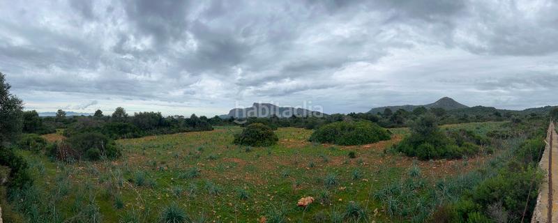Foto d63a5457-8141-4a34-a2a1-d1766eeaab19. Bauernhof mit parking in Artà poble Artà
