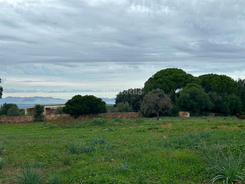 Foto e06f2b46-b427-45a7-8117-9598b09a7a30. Bauernhof mit parking in Artà poble Artà