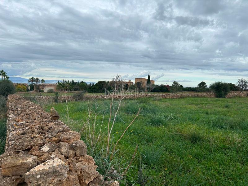 Foto eef2ae9f-7e8f-401d-a2d0-a6f5a80e1e6a. Bauernhof mit parking in Artà poble Artà