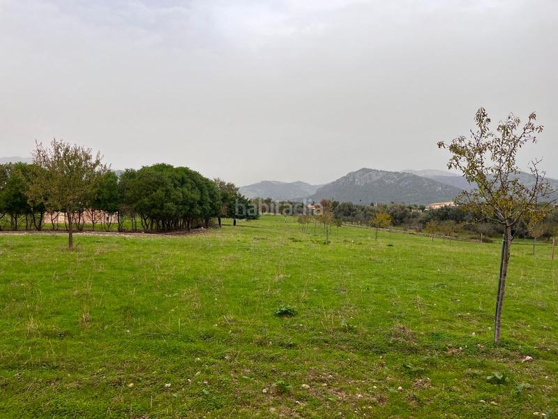 Foto 0ff4191a-d9f0-4e42-ac27-fc5a76cc8748. Casale con parcheggio piscina in Selva