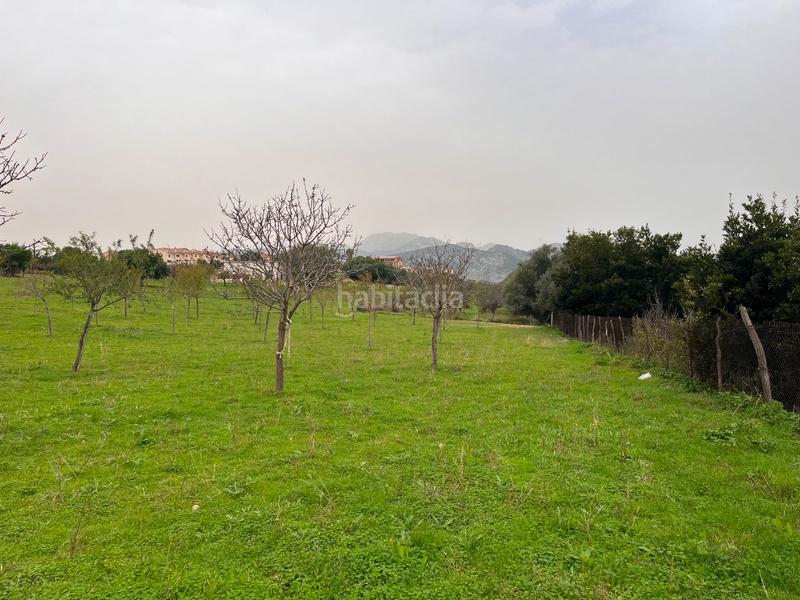 Foto 1ebb6db8-4167-4b3d-8237-5596beee3840. Casale con parcheggio piscina in Selva