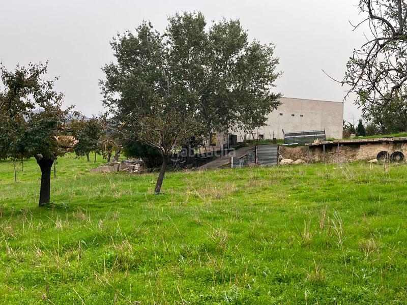 Foto 4aed1119-347a-4d9c-8d20-cbf4bec89e37. Casale con parcheggio piscina in Selva