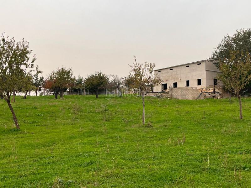 Foto 5326b559-0976-4cd0-ab7a-c7d7f1450d1c. Casale con parcheggio piscina in Selva