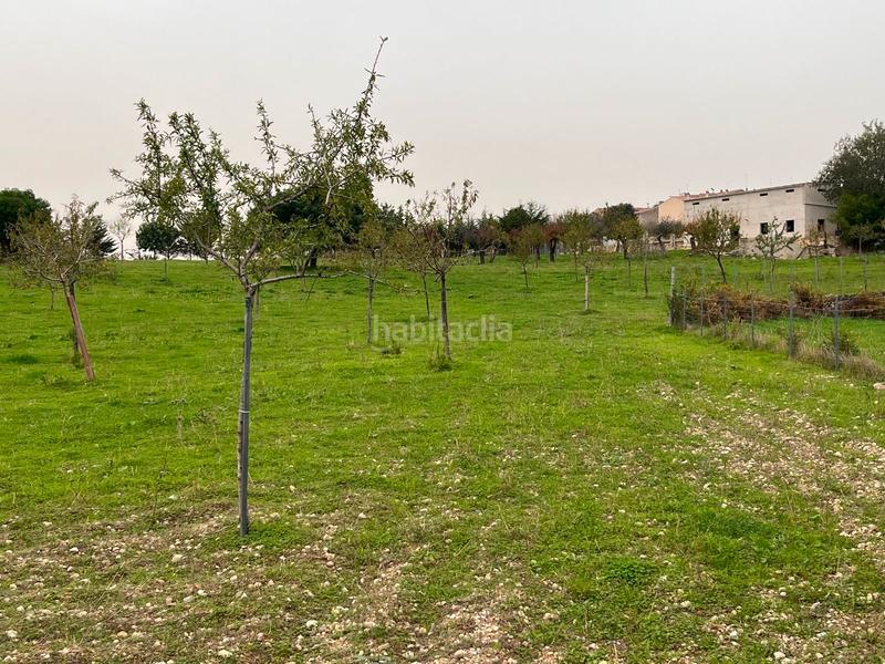 Foto 6dece2f7-392d-4ba3-8ad4-9051ff952bd1. Casale con parcheggio piscina in Selva