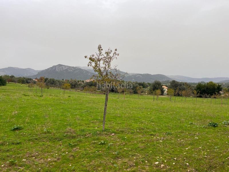 Foto 7697ab48-4eec-42ea-b66b-38b7201bebec. Casale con parcheggio piscina in Selva