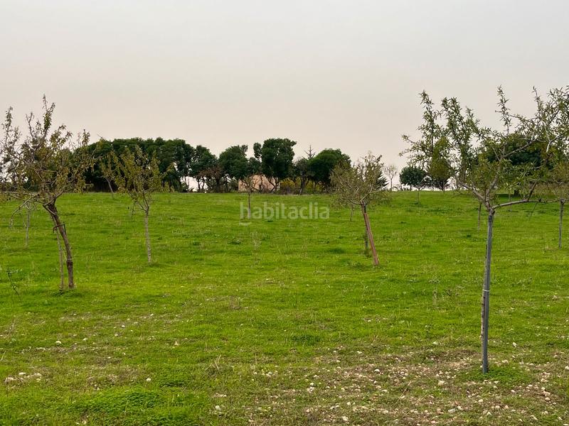 Foto 7989a6d8-d5fd-4080-8bf8-61376ccfa578. Casale con parcheggio piscina in Selva