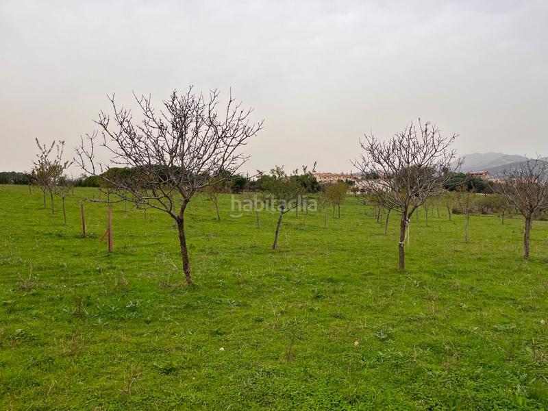 Foto 7b41f761-190b-4348-8d08-446832d0a98e. Casale con parcheggio piscina in Selva