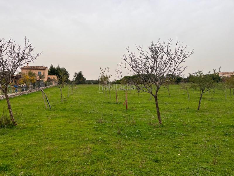 Foto 846776f5-f325-4cdb-b4e5-e5b928c1119a. Casale con parcheggio piscina in Selva