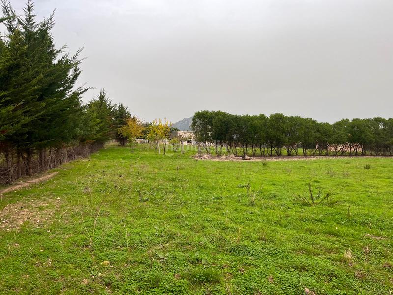 Foto 8af44351-8d4d-47ba-955b-20bce57096ac. Casale con parcheggio piscina in Selva