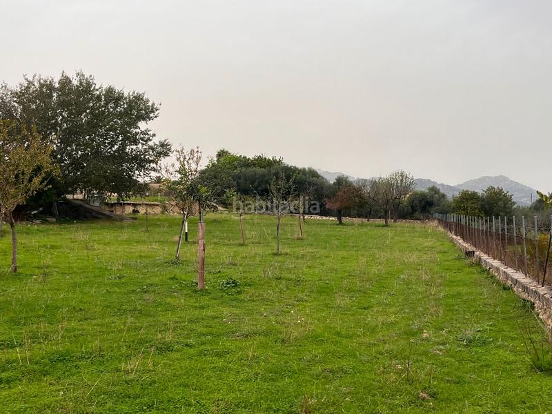 Foto 92e12df8-18a5-49d2-b516-b0be5c83ed8c. Casale con parcheggio piscina in Selva