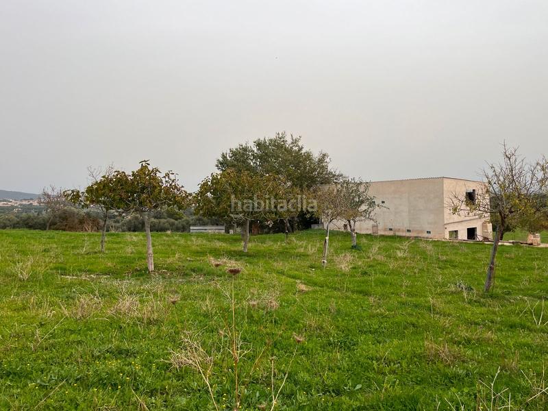 Foto 962537b2-b832-4998-a6e3-6814d464361b. Casale con parcheggio piscina in Selva