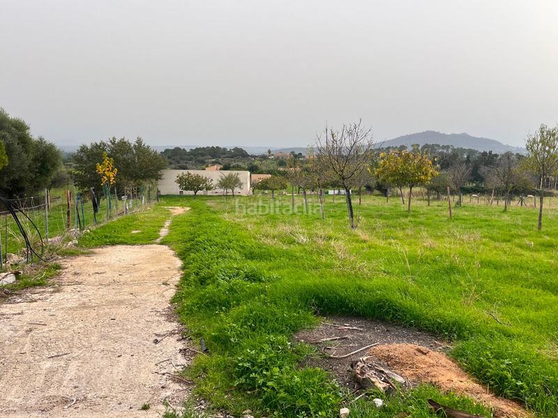 Foto 99f5726c-4e28-4f6e-82ad-ceca9521cc84. Casale con parcheggio piscina in Selva