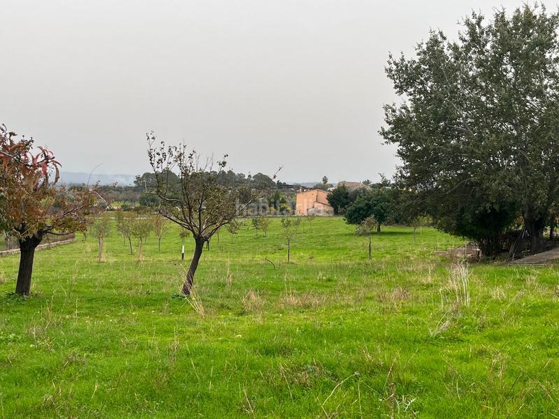 Foto a03f5d4d-7d60-4622-907b-cb4d403629c7. Casale con parcheggio piscina in Selva