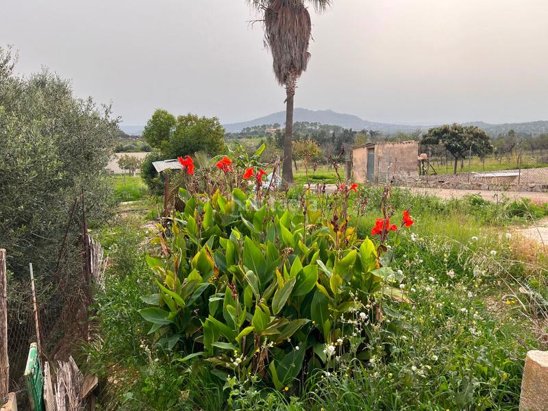 Foto afea039f-24a4-486a-872d-394577e72ea2. Casale con parcheggio piscina in Selva