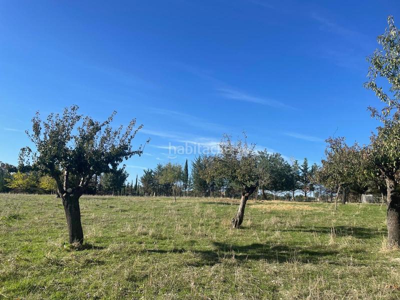 Foto ba04e9bf-6322-4de2-88b2-54e4ead8e862. Casale con parcheggio piscina in Selva