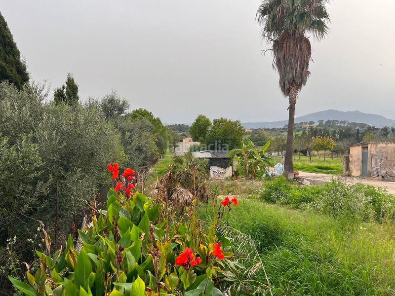 Foto c207c3ef-b6f4-4da1-af53-ffe3906a2932. Casale con parcheggio piscina in Selva