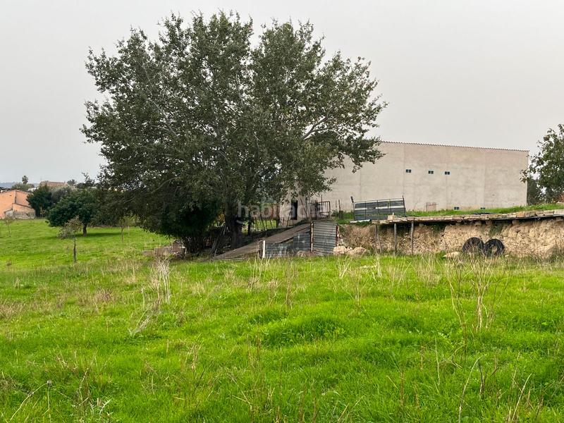 Foto c20d3e58-8773-485e-872c-5ceda9d9645e. Casale con parcheggio piscina in Selva