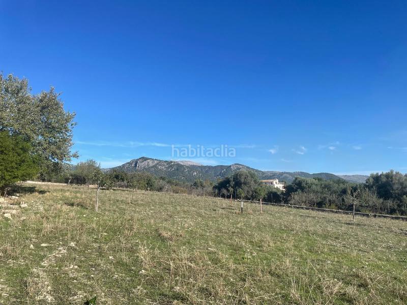 Foto cae2d4a6-8b8a-4b58-bed9-3f02a9a2d0d4. Casale con parcheggio piscina in Selva