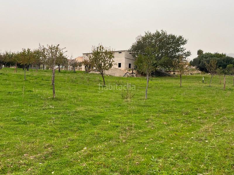 Foto eb0a2e2a-b400-4c96-beef-e2164699a034. Casale con parcheggio piscina in Selva