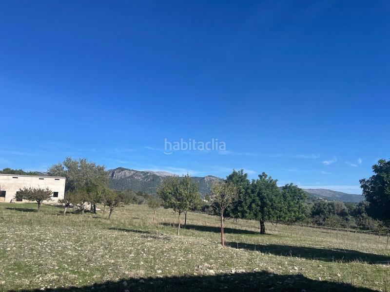 Foto f5ccd3c3-f6d6-45b8-a232-c6b99a470d38. Casale con parcheggio piscina in Selva