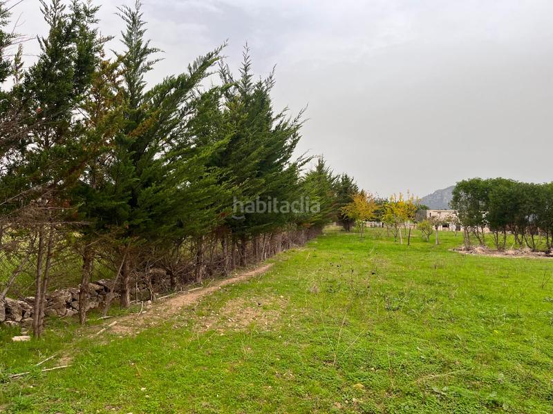 Foto f990af5e-9b03-481c-b6cc-f49c4787b6a4. Casale con parcheggio piscina in Selva