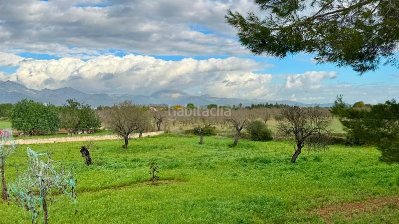 Foto 03cf6a85-1647-491c-8592-eb51c6e8e4df. Casale con riscaldamento parcheggio piscina in Zona Periurbana Inca