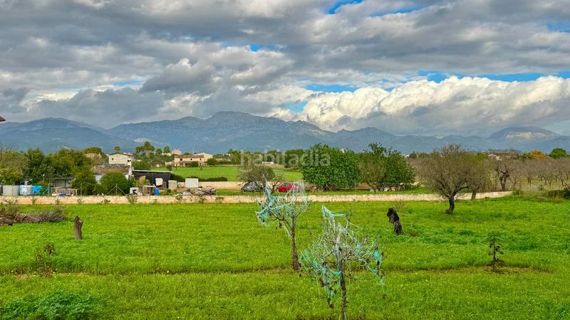 Foto 9e384229-39fe-4929-bca7-b20336aa7fbb. Casale con riscaldamento parcheggio piscina in Zona Periurbana Inca