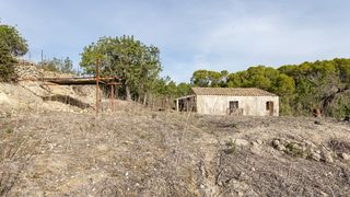 Mas à Campanet. Finca de 16.000 m2 en campanet con pozo