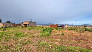 Casale in Sa Pobla. Finca edificable de 23.000 m2 entre sa pobla y muro con vistas