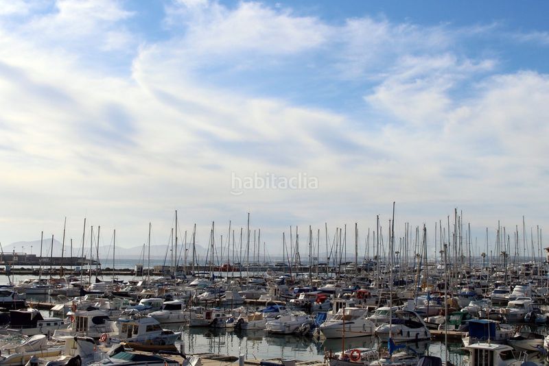 Foto 69fa8063-484a-4dcb-9f0c-e58dd5f5149d. Casa amb calefacció aparcament piscina a port d´Alcúdia-platja dálcúdia Alcúdia