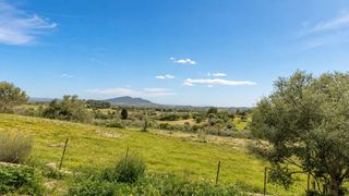 Terreny residencial a Selva. Terreno edificable de 14.032 m2 en moscari con vistas lejanas al