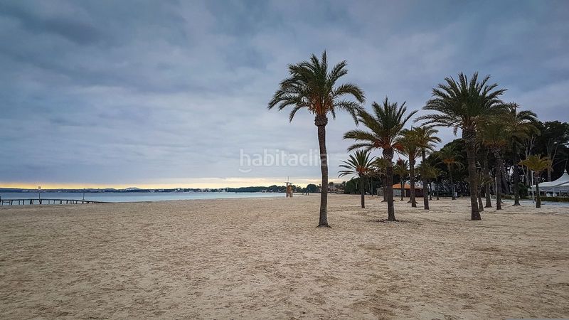 Foto e9edf480-2c97-42d3-9f30-50f9f8c63d61. Àtic amb calefacció a port d´Alcúdia-platja dálcúdia Alcúdia