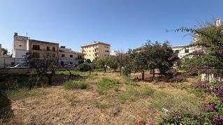 Residential Plot in Lloseta. Solar plurifamiliar para hasta 26 viviendas en lloseta