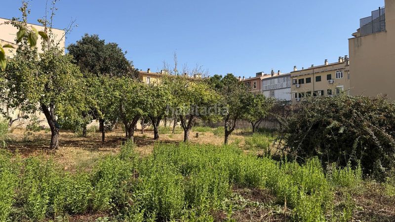 Foto 9e40acbe-6a4a-4b8b-82ff-0eb6d92a458c. Terreno residencial solar plurifamiliar para hasta 26 viviendas en Lloseta
