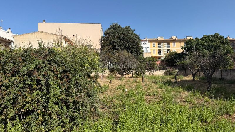 Foto a08aa0c4-5253-4ba0-9d96-d012016af615. Terreno residencial solar plurifamiliar para hasta 26 viviendas en Lloseta
