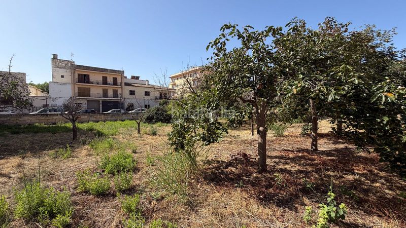 Foto c79d533d-2831-43f1-b0f6-f7494510e37c. Terreno residencial solar plurifamiliar para hasta 26 viviendas en Lloseta