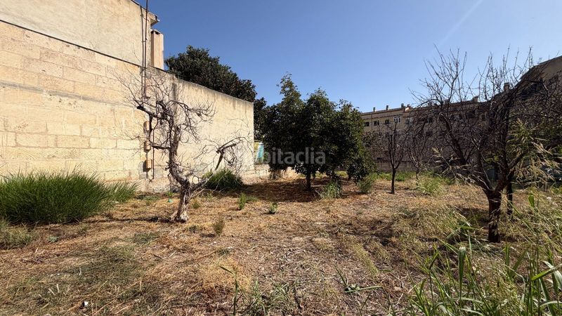 Foto cb5f4519-16ee-4a81-8cbc-a68aa4964a05. Terreno residencial solar plurifamiliar para hasta 26 viviendas en Lloseta