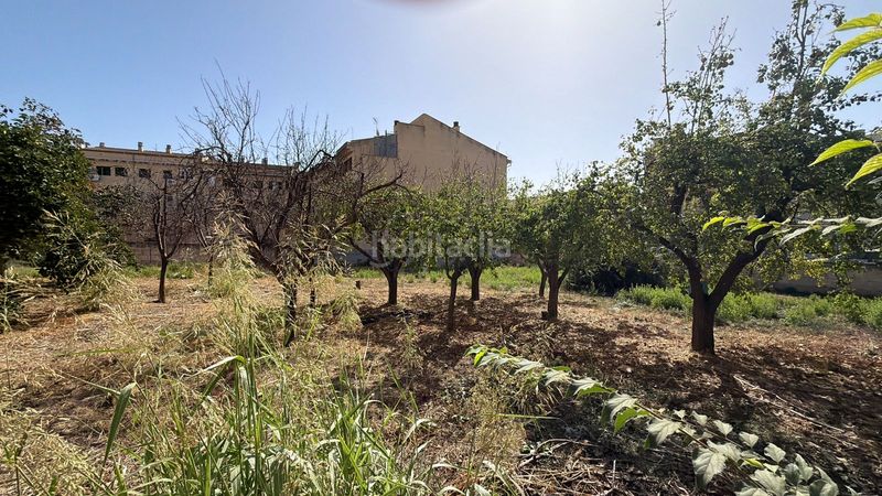 Foto ccfe7a93-6403-4067-913c-a18a659bbf07. Terreno residencial solar plurifamiliar para hasta 26 viviendas en Lloseta