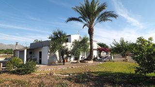 Casale in Pollença Poble