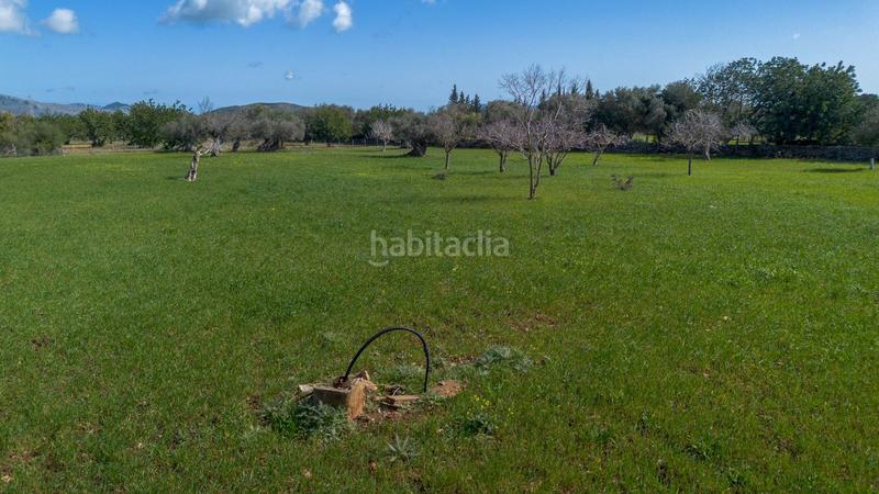 Foto 30a26ed5-b60a-447d-8c0a-12ea209f19f6. Masia amb aparcament a Pollença poble Pollença
