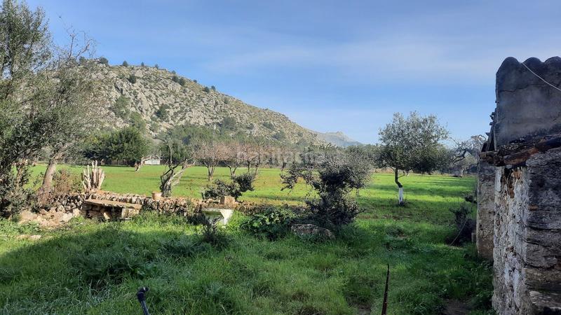 Foto 407047ae-2218-40d3-8c56-15643b355144. Masia amb aparcament a Pollença poble Pollença