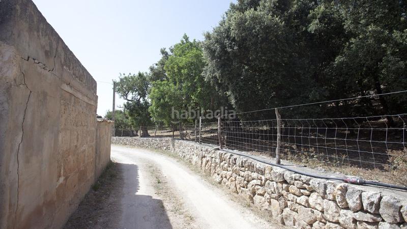 Foto 49927137-ce34-4acd-88ea-2c6f8585fa66. Masia amb aparcament a Pollença poble Pollença